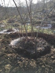 ISONEM SOIL WATER TRAP   1KG TOPRAK ALTI SU TUTUCU